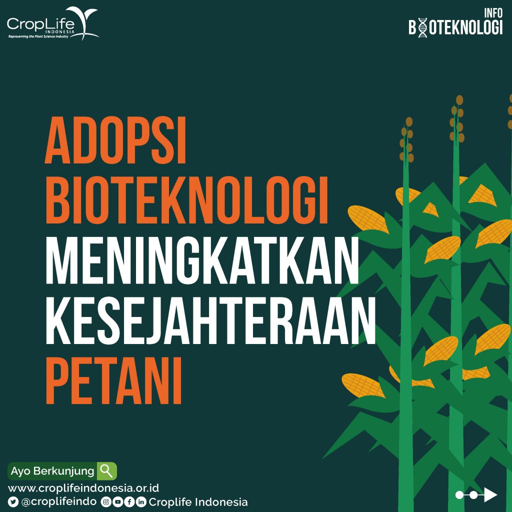 Adopsi Tanaman Bioteknologi Meningkatkan Kesejahteraan Petani.
