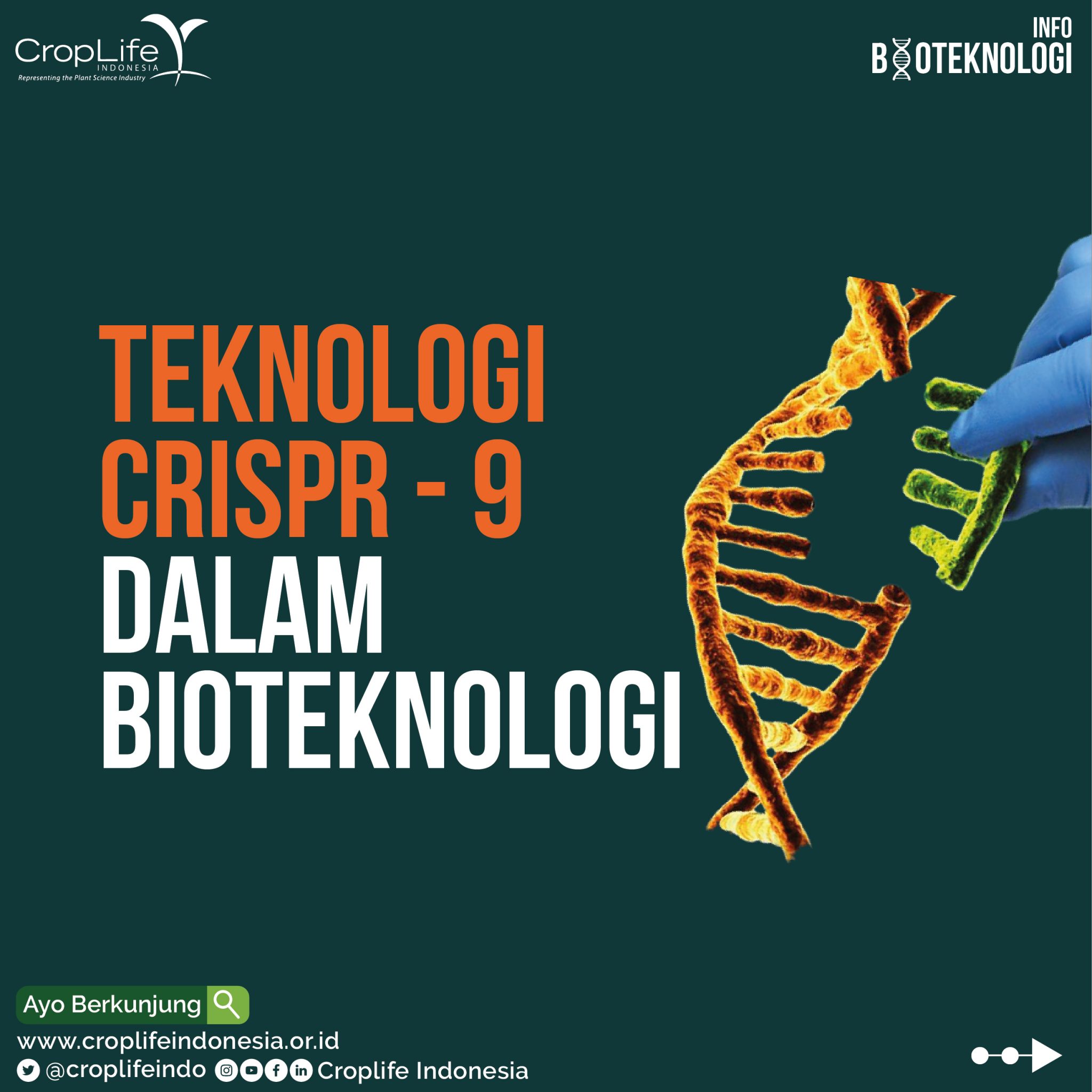 2024: Kemajuan Teknologi CRISPR dalam Pengembangan Tanaman Tahan Iklim